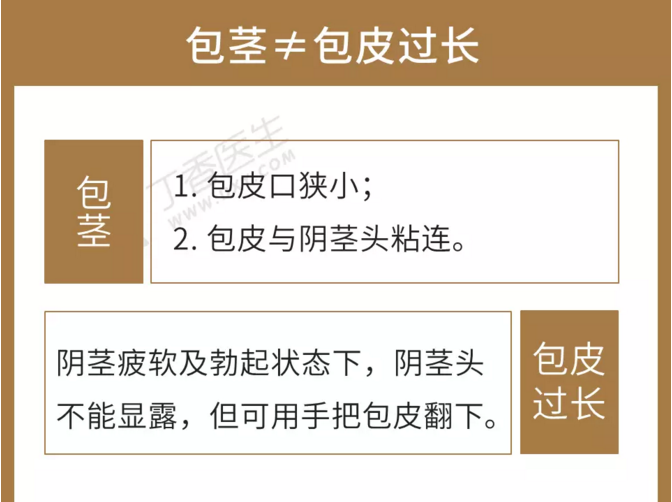 包茎≠包茎