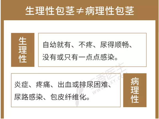 生理性包茎≠病理性包茎