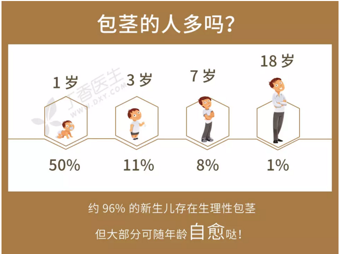 一般什么样男人才需要割包皮?-包茎的人多吗？