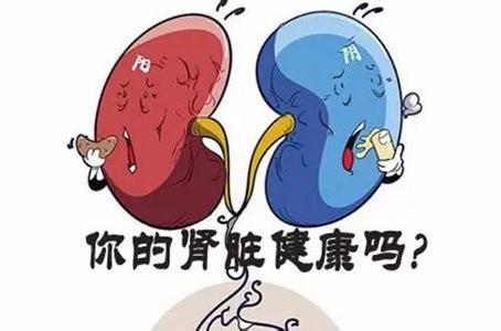 托克托县肾虚疾病的诊断误区