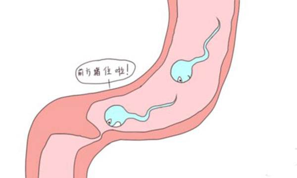 引起男性慢性尿道炎的原因有哪些