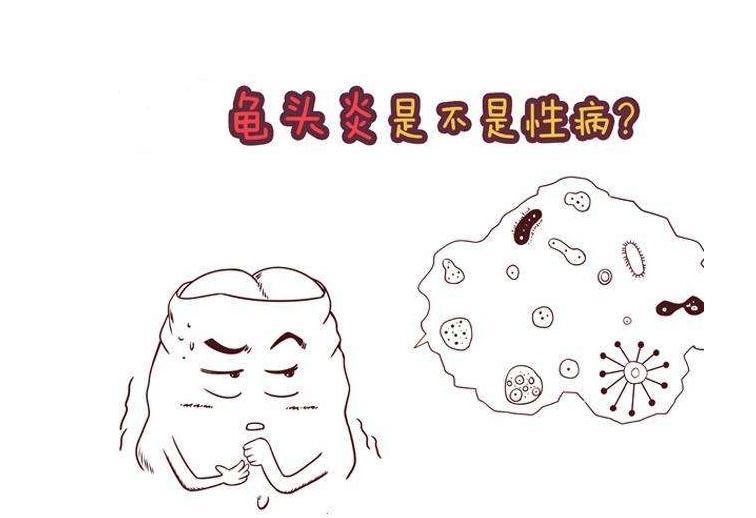 白色念珠菌性龟头炎